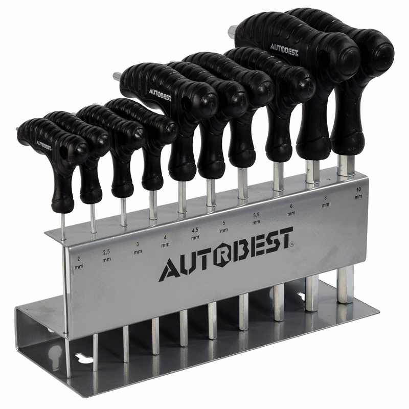 JEU DE 10 CLES EN T TETES SPHERIQUES SUR RATELIER 2 A 10MM