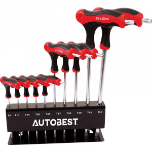 JEU DE 10 CLES EN T TORX SUR RATLIER T9 A T50