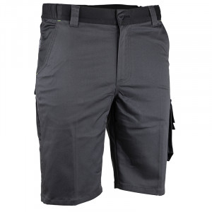 BERMUDA BICOLORE DEDALE T36